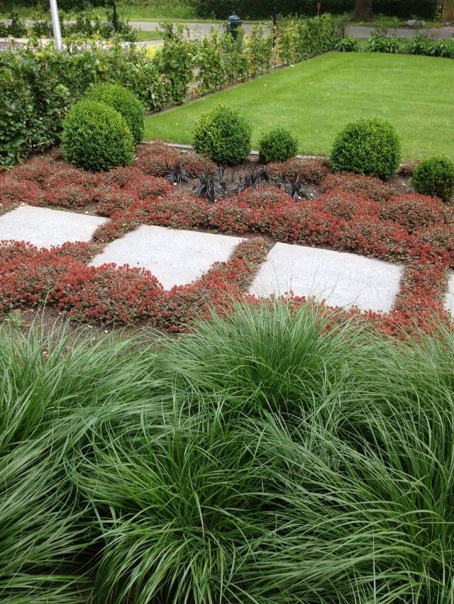 bladkleuren-tuintrend-moderne-tuin